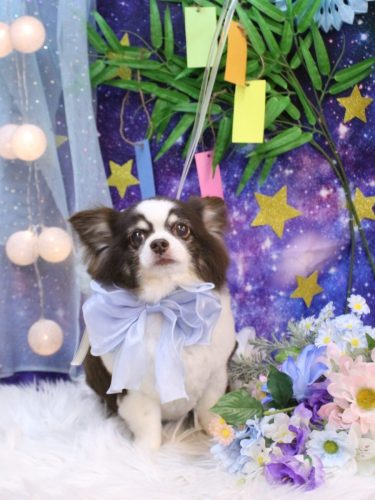 20250710アンジくん